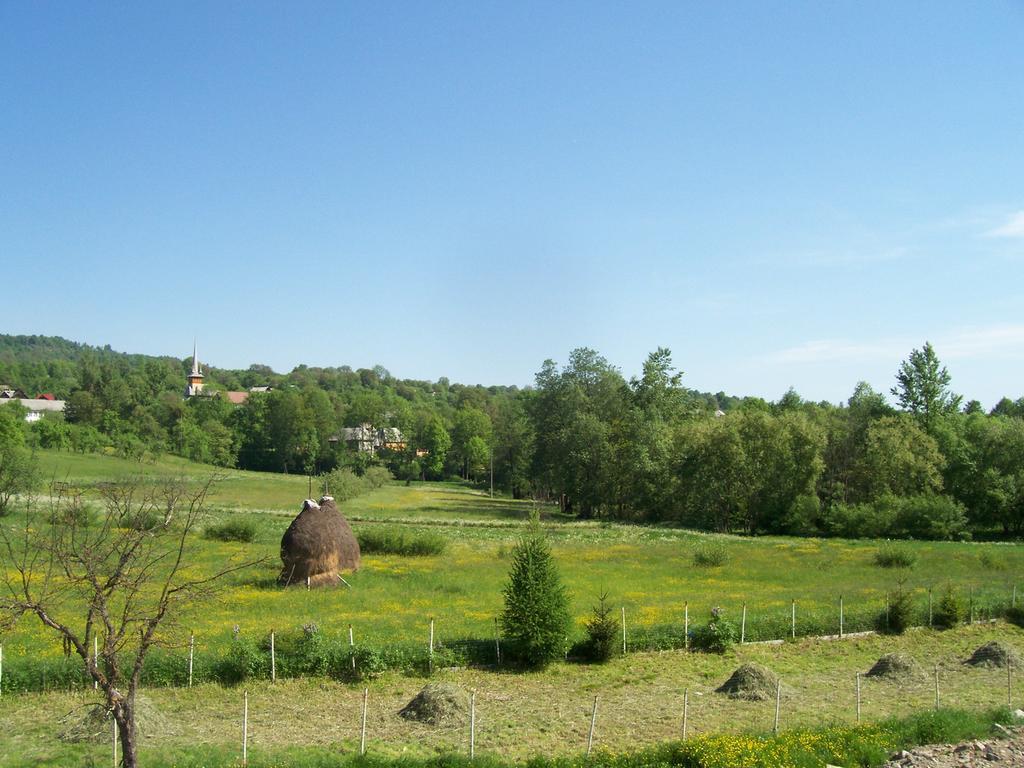 Pensiunea Mara Desesti Exterior photo